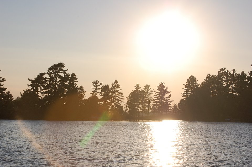 SUMMER (83)